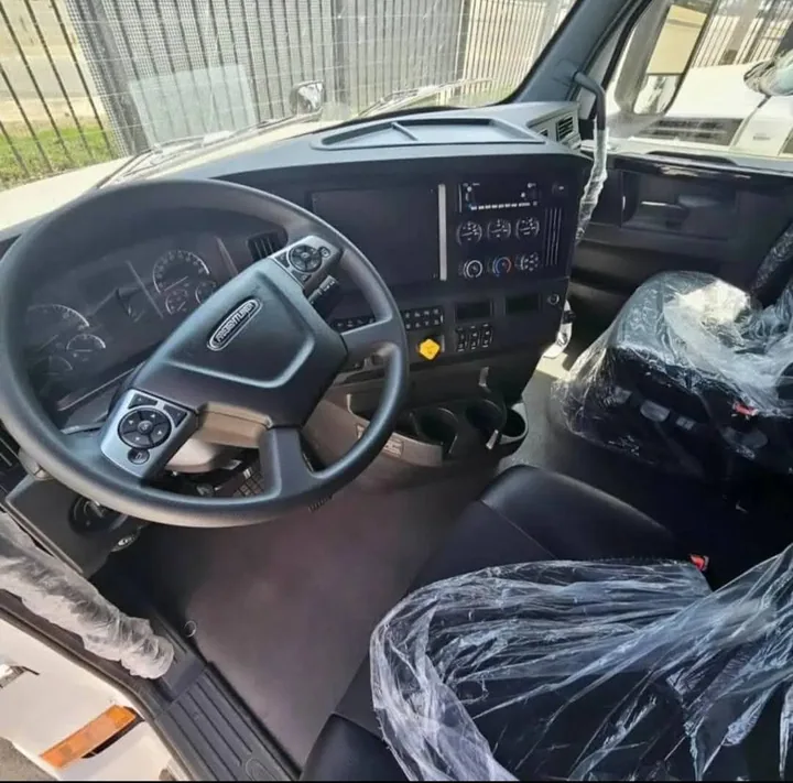 Freightliner steering wheel and driver controls